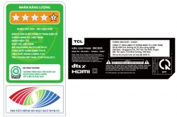 Google TV QD-Mini LED TCL 4K 98 inch 98C855