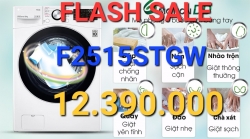 Máy giặt LG AI DD Inverter 15 Kg F2515STGW