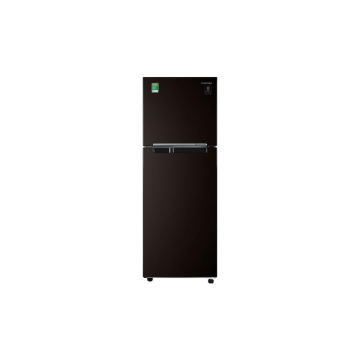 Tủ lạnh Samsung Inverter 236 lít RT22M4032BY/SV